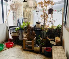 NHÀ 3 TẦNG -  DIỆN TÍCH 31M2 - QUẬN 10 - HẺM AN NINH GẦN MẶT TIỀN ĐƯỜNG CHỈ 4TỶ.