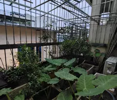 SIÊU HIẾM BÁN-Ô TÔ 16C QUA NHÀ- Ở + KD ĐỀU OK - LÃI VỐN ĐỈNH LUÔN GIÁ HƠN 16TỶ