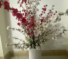 ⭐️ GẤP BÁN NHÀ 2 TẦNG MT ĐƯỜNG 5,5M, SÁT TRỤC MAI ĐĂNG CHƠN, CHỢ NON NƯỚC, NHỈNH 3 TỶ ⭐️
