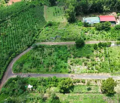 BÁN LỖ LÔ ĐẤT NGAY HỒ NAM PHƯƠNG BẢO LỘC GIÁ RẺ - QUY HOẠCH THỔ CƯ