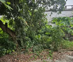 Đất Thổ Cư Mặt Đường 10 - Phố Đống Năm, Đông Hưng
