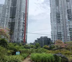 Bán lô góc đất đấu giá Phụng Công diện tích 71m mặt tiền bám đường 18m giá đầu tư