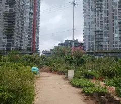 Bán lô góc đất đấu giá Phụng Công diện tích 71m mặt tiền bám đường 18m giá đầu tư