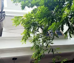 Phân lô cạnh dự án Gold Mark City 136 Hồ Tùng Mậu 35m 4 tầng chỉ hơn 7 tỷ