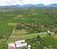 400 TRIỆU 1 LÔ DUY NHẤT - SĂN MÂY TẠI BẢO LỘC