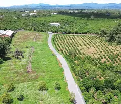 400 TRIỆU 1 LÔ DUY NHẤT - SĂN MÂY TẠI BẢO LỘC