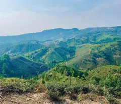 100K/M2 ĐẤT NGHĨ DƯỠNG NHÀ VƯỜN BẢO LỘC - SIÊU HOT