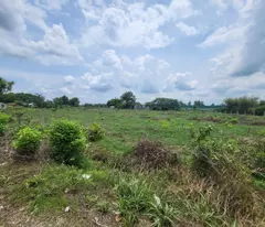 BÁN LÔ ĐẤT THỔ CƯ GÓC 3 MẶT TIỀN TẠI VÕ VĂN ĐIỀU, XÃ PHƯỚC THẠNH, HUYỆN CỦ CHI, HCM, GIÁ LÀ 21.8 TỶ