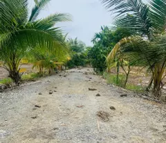 🌟 Cơ Hội Vàng Đầu Tư Tại Lô Góc 30x30m Tại Đức Hòa 🌟