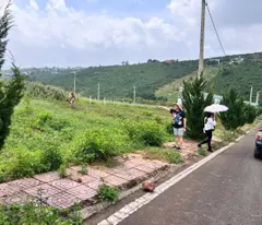 GIẢM CẮT LỖ LÔ ĐẤT SĂN MẤY TẠI BẢO LỘC