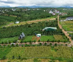 GIẢM CẮT LỖ LÔ ĐẤT SĂN MẤY TẠI BẢO LỘC