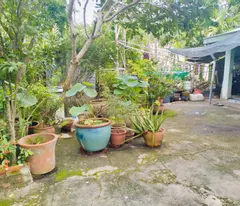 18 TRIỆU/M2 ĐẤT TẠI THUẬN AN BÌNH DƯƠNG - CHỦ GIẢM SÂU BÁN LỖ