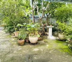 18 TRIỆU/M2 ĐẤT TẠI THUẬN AN BÌNH DƯƠNG - CHỦ GIẢM SÂU BÁN LỖ