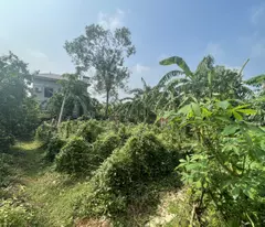 Bán đất 210m2 (70m2 thổ cư)  Thị trấn Vôi - gần khu Rùa Vàng