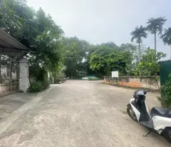 Bán Đất Nam Hồng, Đông Anh 100m2 MT5M ngõ ô tô tránh, quy hoạch ổn định, khu vực đầu tư tăng