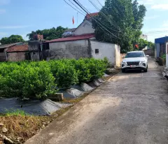 Bán đất Đức Nhuận Dạ Trạch diện tích 99.5m mặt tiền 5.56m nở hậu giá đầu tư