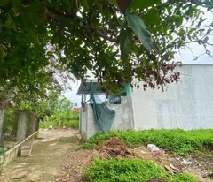 Ban đất Nghĩa Dõng Quảng Ngãi đường ô tô giá rẻ