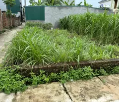 Bán đất Do Hạ, Tiền Phong, Mê Linh, HN, lô góc hai mặt thoáng, DT 82m, giá 2,38 tỷ.