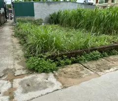 Bán đất Do Hạ, Tiền Phong, Mê Linh, HN, lô góc hai mặt thoáng, DT 82m, giá 2,38 tỷ.