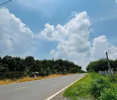Cần bán nhanh miếng đất rẻ đường lớn 42m 250 m2 chỉ 390 triệu Chơn Thành Bình Phước