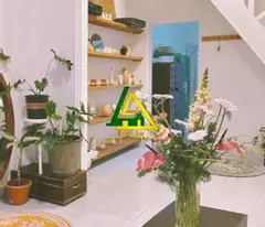 Chủ cần cho thuê nhà nguyên căn Thi Sách P6