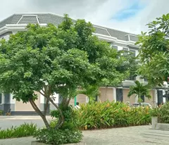 Bán Nhà Đất Phường  Hòa Lợi, Tp Bến Cát, Tỉnh Bình Dương Giá Rẻ Thích Hợp Đầu Tư Hoặc Ơ Kinh Doanh