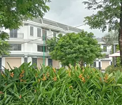 Cần Bán  Đất Phường  Hòa Lợi, Tp Bến Cát, Tỉnh Bình Dương Giá Rẻ Thích Hợp Đầu Tư Hoặc Ơ Kinh