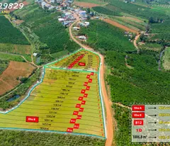Đất VIP đầu tư, kinh doanh, ở nghỉ dưỡng - ngay thác Dambri, trung tâm du lịch Lâm Đồng - 2,5tr/m2