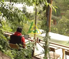 CHO THUÊ MẶT BẰNG QUÁN CAFE + 1 TRỌ THÁNH MẪU, P7