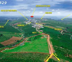 Đầu tư kinh doanh Homestay chỉ với 1,9 triệu/m2 - Đất VIP ven suối gần cao tốc TPHCM - TP Bảo Lộc