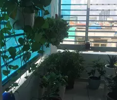 Chủ gửi bán gấp căn nhà hẻm 116 tô hiến thành 2 tầng 29m2 Quận 10 dài 9 p15