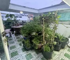 Bán nhà Mặt tiền đường số Khu Bình Phú, P.10, Quận 6, 4mx19m, 4 tầng có sân thượng, 8,7 tỷ