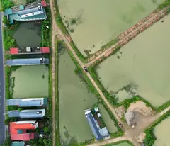 Chính chủ cần bán cắt lỗ 555m2 đất đấu giá tại Cẩm Bình, Cẩm Thuỷ, Thanh Hoá