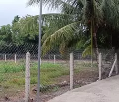 Bán Đất 500 m2 & 686 m2 con đường An Sơn 32, 

Xã An Sơn, TP Thuận An, bình dương