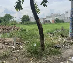 Bán Đất Mặt Tiền đường thông, sổ hồng vuông đét Cách Nguyễn Ảnh Thủ - Tô Ký 300m.