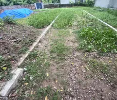 Bán lô chính chủ- Bột Xuyên- 67m2 - khu trung tâm- ngõ rộng - 666tr