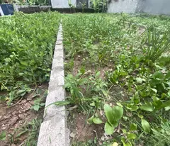 Bán lô chính chủ- Bột Xuyên- 67m2 - khu trung tâm- ngõ rộng - 666tr