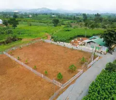CẦN TIỀN BÁN GẤP LÔ ĐẨT ĐẸP TẠI LỘC TÂN - 3.2 TỈ CHỐT NHANH - MIÊN TIÊP CÒ