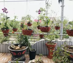 Gấp bán nhà Đường Trường Sơn, Đà Nẵng. Giá yêu thường 3.9 tỷ