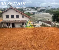 CHO THUÊ ĐẤT MẶT TIỀN ĐƯỜNG TÔ HIỆU, p7