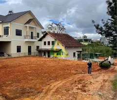 CHO THUÊ ĐẤT MẶT TIỀN ĐƯỜNG TÔ HIỆU, p7