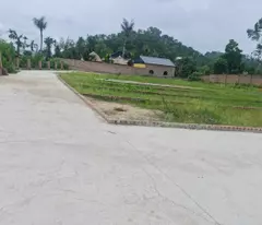 GIÁ NỔ THẲNG KHÔNG VÒNG VO DT 68 M GIÁ CÓ VÀI TRĂM TR