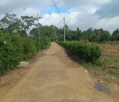 120 TRIỆU/1000M2 ĐẤT TẠI DẠTEH LÂM ĐỒNG - HÀNG RẺ HIẾM CÓ