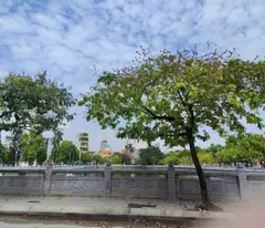 BÁN NHÀ PHÚ DIỄN 5 TẦNG FULL NỘI THẤT, DT 35M, VIEW HỒ GIÁ NHỈNH 5 TỶ ( có thương lượng )
-	Chủ