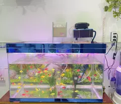 NHÀ HIẾM ngang 4.3m HXH ngay chợ Tân Hương, Q.TPhú 3T 3PN chỉ 5 tỷ xx