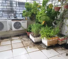 Bán nhà HXH hạ chào hơn 4 tỷ, Trần Hưng Đạo, P1, Q5, 56m2, 4 tầng. 9.x tỷ