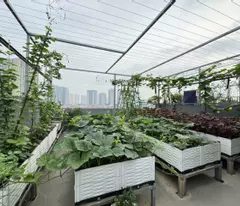 MẶT PHỐ MỖ LAO - VỈA HÈ - KINH DOANH ĐỈNH - Ô TÔ TRÁNH - NHÀ ĐẸP CHẮC CHẮN