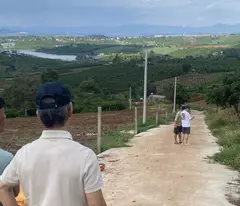 Bán 17 lô đất thổ cư nguyên lốc f0 chưa qua đầu tư tại lâm Hà lâm đồng