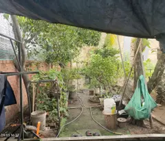 Bán hoặc cho thuê nhà riêng 5x50m2