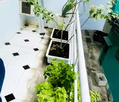 BÁN GẤP- KHU VIP NGUYỄN TRỌNG TUYỂN- (4,2X15M)- 7,6 TỶ